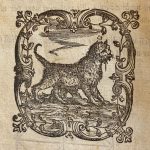 Lees meer over het artikel Cosmographiae Introductio – 1551 INGEZIEN