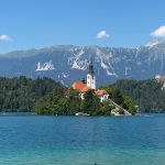 Lees meer over het artikel Slovenië : 2020