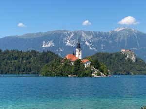 Lees meer over het artikel Slovenië : 2020