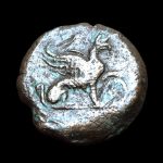 Lees meer over het artikel Romeinse Griffioenen